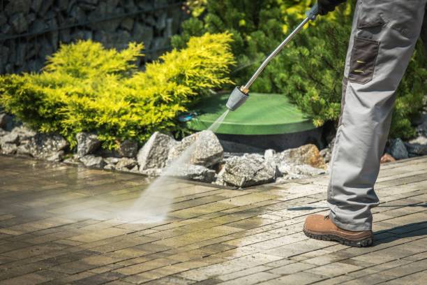 Animal Enclosure Cleaning in Berkeley, IL